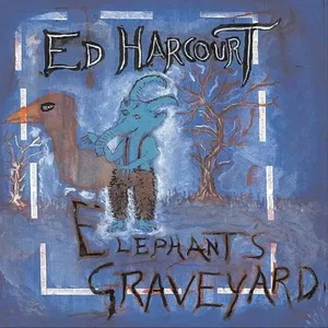 Elephant's graveyard